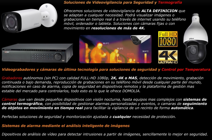 videovigilancia almeria